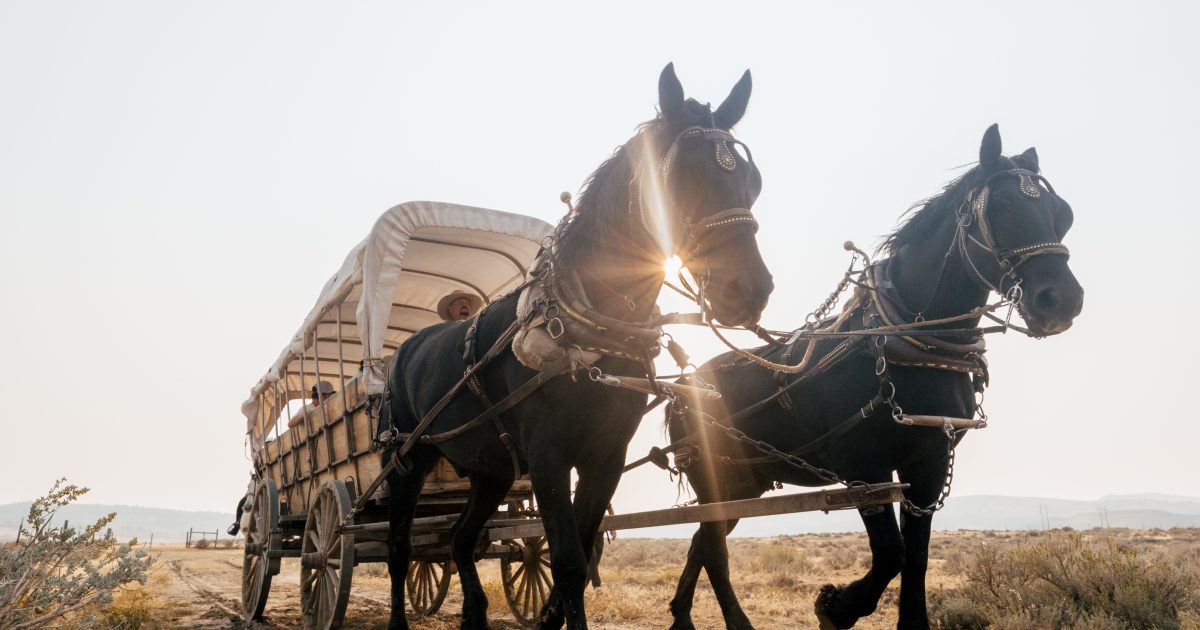 Casper, Wyoming: Where Curiosity and Adventure Thrive